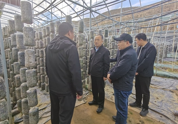甘肅工程咨詢集團赴卓尼縣開展鄉村振興幫…